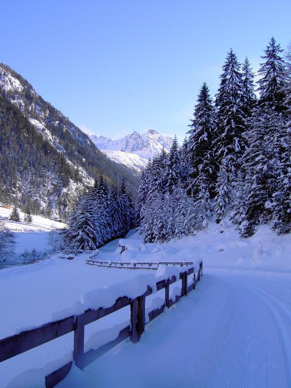 Hotel Wiese Sankt Leonhard im Pitztal Ngoại thất bức ảnh